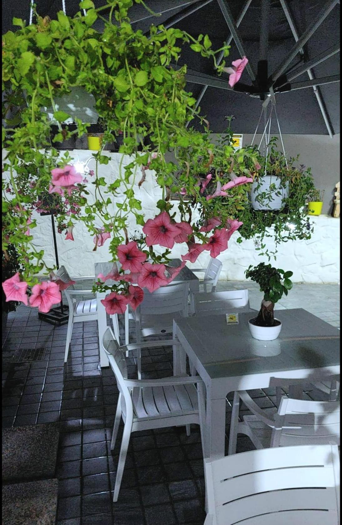 Appartamento Il Borghetto House Grey *